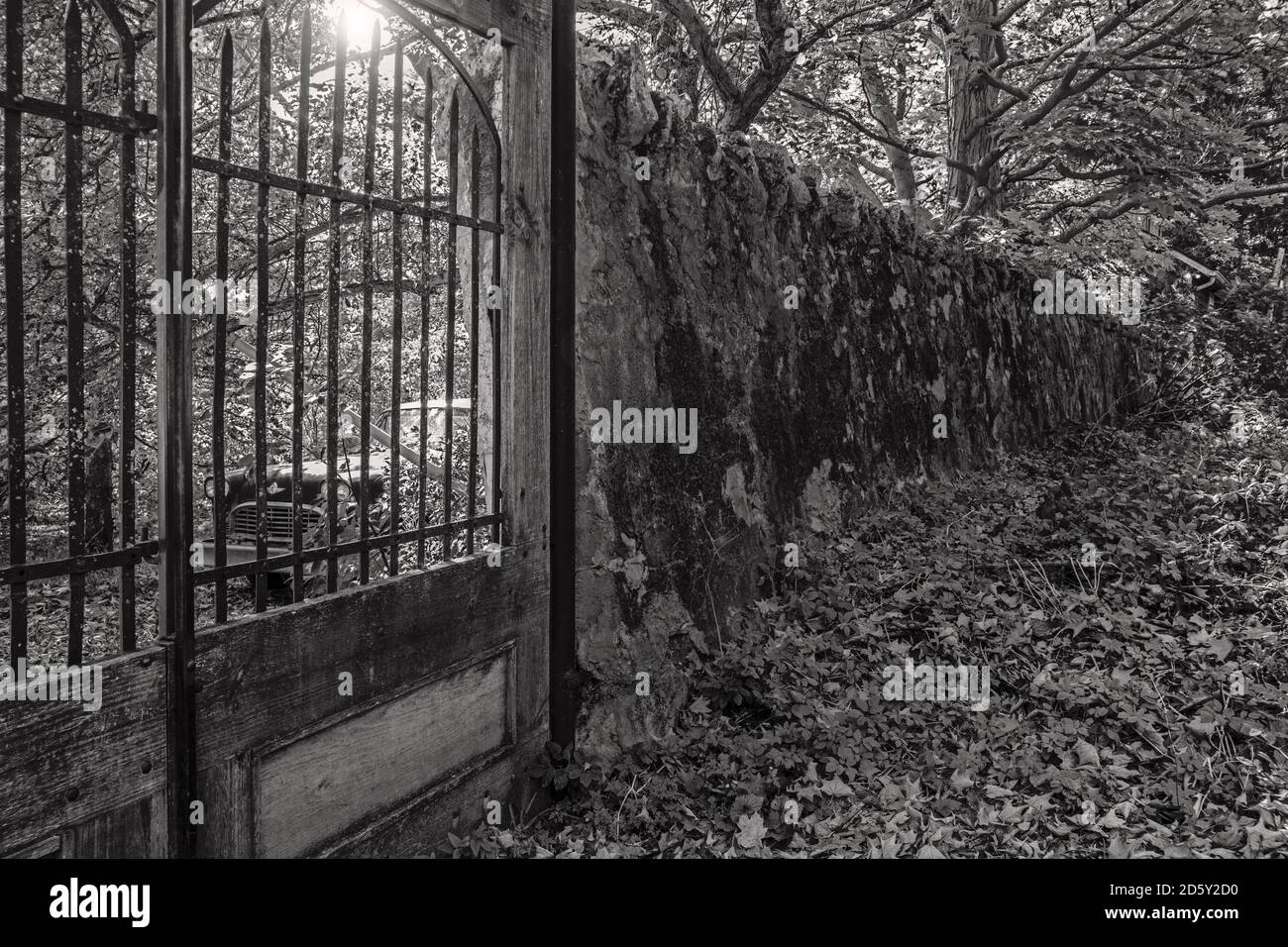 Pittoresco muro di pietra e cancello in autunno. Bianco e nero. Foto Stock