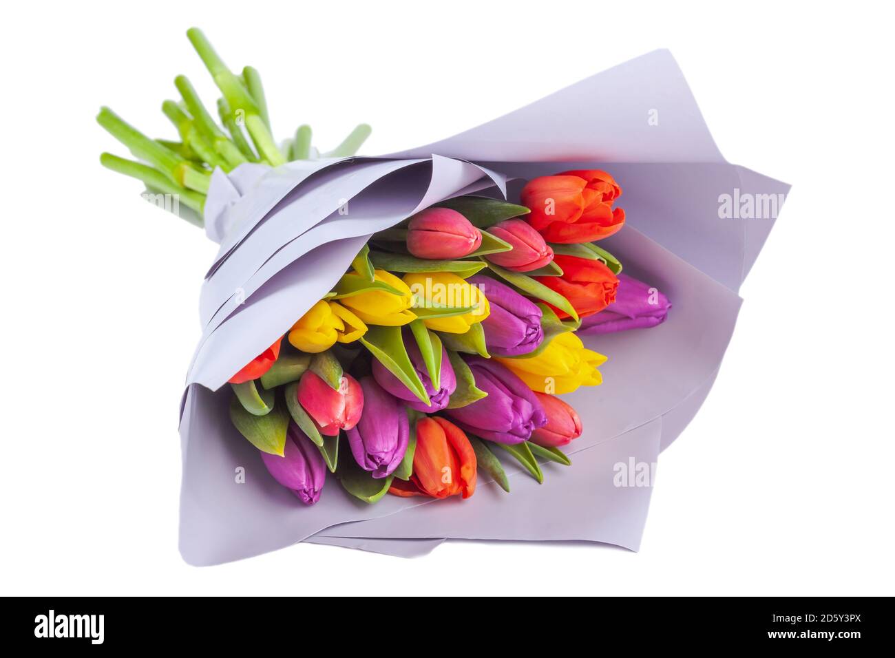 bouquet di tulipani multicolore avvolti in carta viola chiaro Foto Stock bouquet di tulipani multicolore avvolti in carta viola chiaro Foto Stock