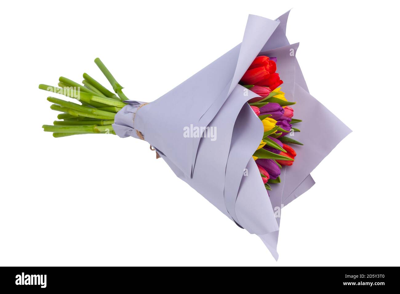 bouquet di tulipani multicolore avvolti in carta viola chiaro Foto Stock bouquet di tulipani multicolore avvolti in carta viola chiaro Foto Stock