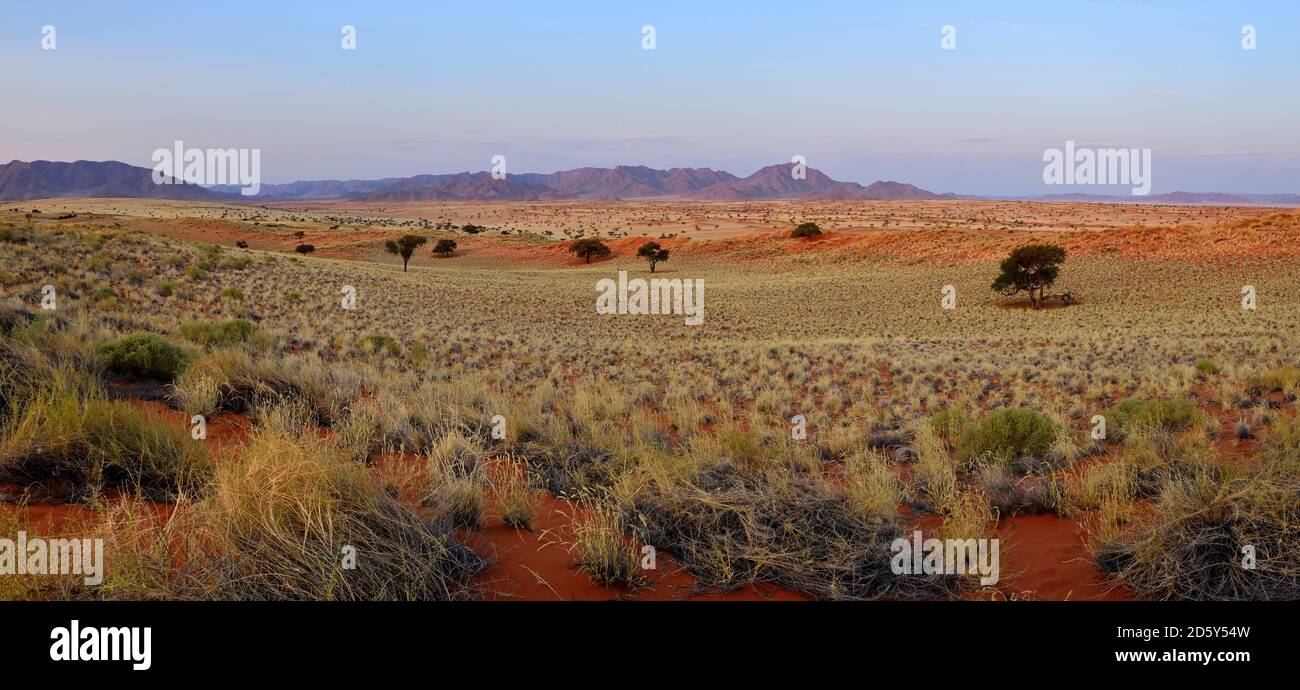 Africa, Namibia, Namib Desert, vista su Namib Rand Riserva Naturale nella luce della sera, Panorama Foto Stock