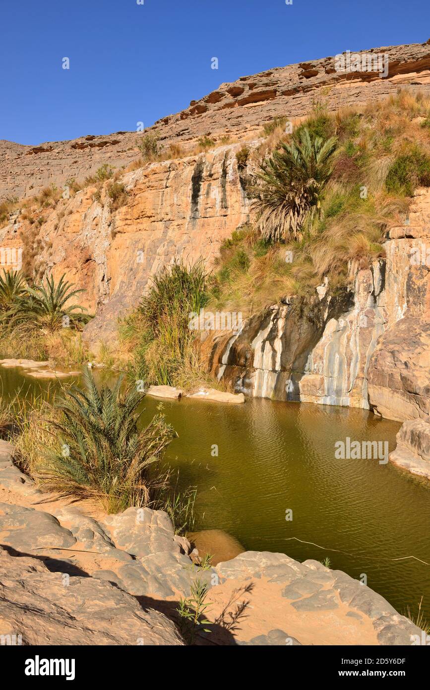 Africa, Algeria, del Tassili N'Ajjer National Park, Iherir, acqua in una guelta nel Canyon Idaran Foto Stock