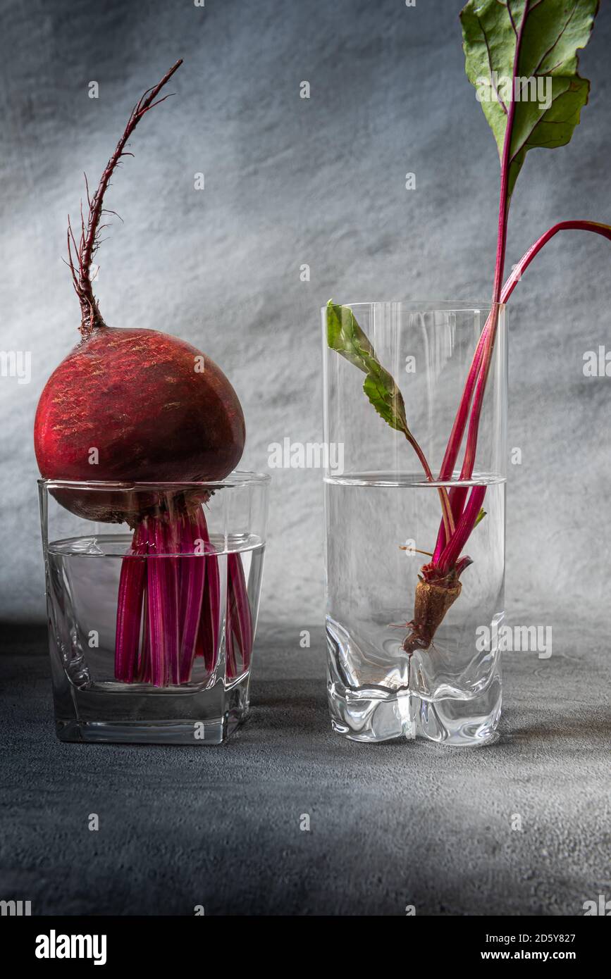 Primo piano di foglie di barbabietole e barbabietole fresche e luminose in due bicchieri riempiti di acqua pulita. Sfondo grigio con texture verticale con spazio per la copia. H Foto Stock