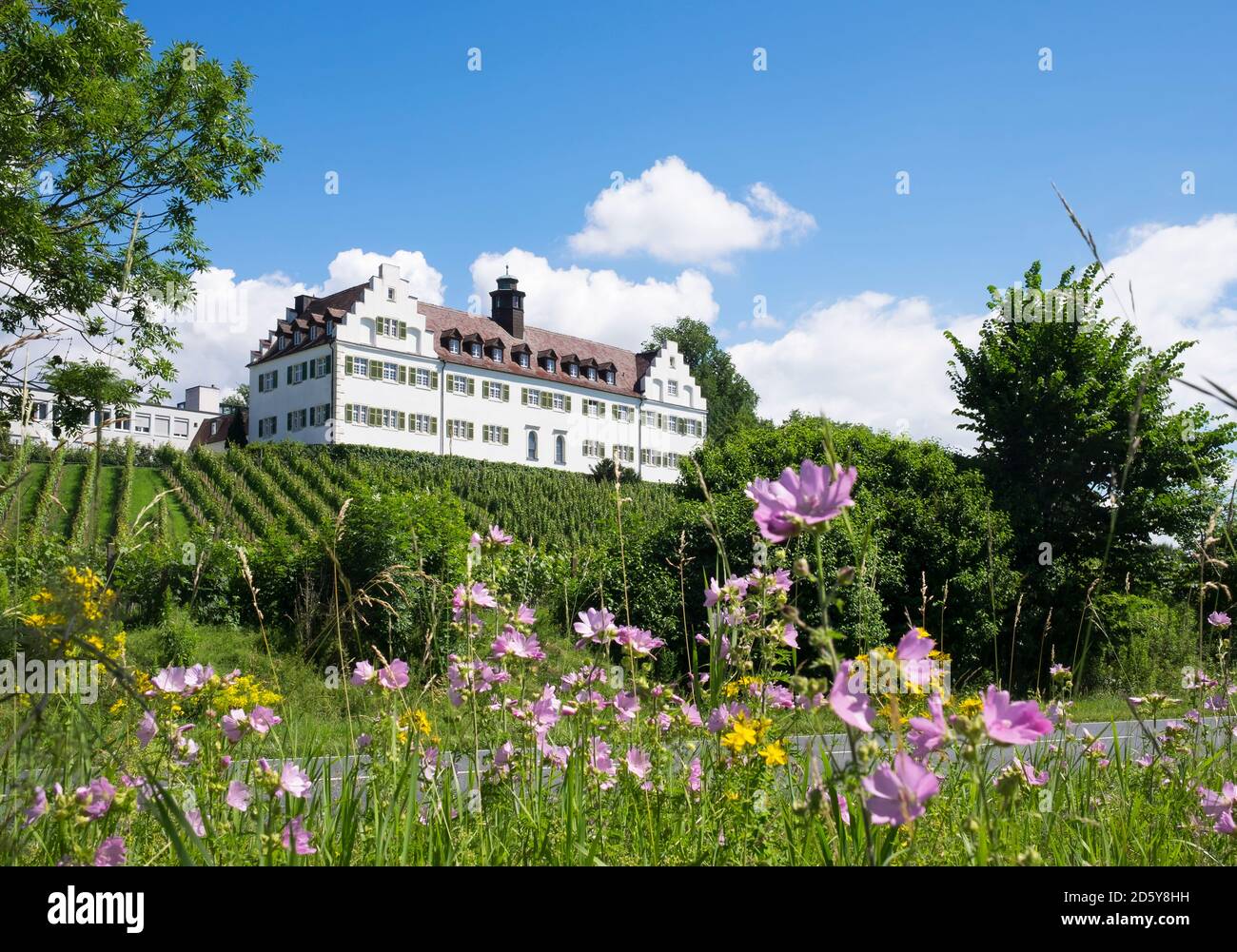 Germania, Immenstaad, Castello di Hersberg Foto Stock