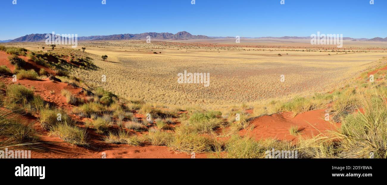 Africa, Namibia, Namib Desert, vista su Namib Rand Riserva Naturale verso le montagne Nubib Foto Stock