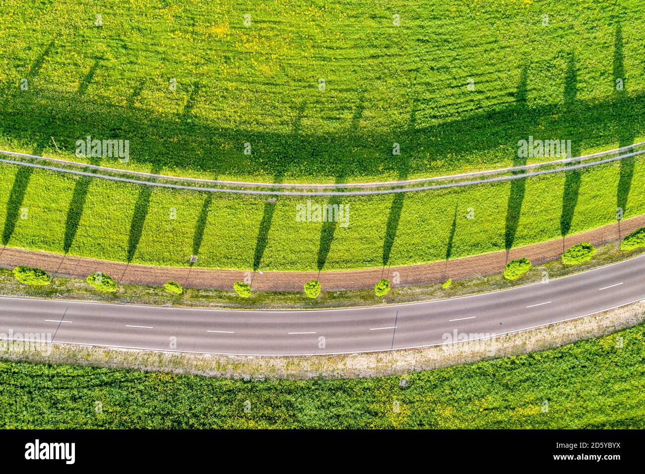 Germania, Baden-Wuerttemberg, Rens-Murr-Kreis, Winterbach, fila di alberi, campo e strada Foto Stock