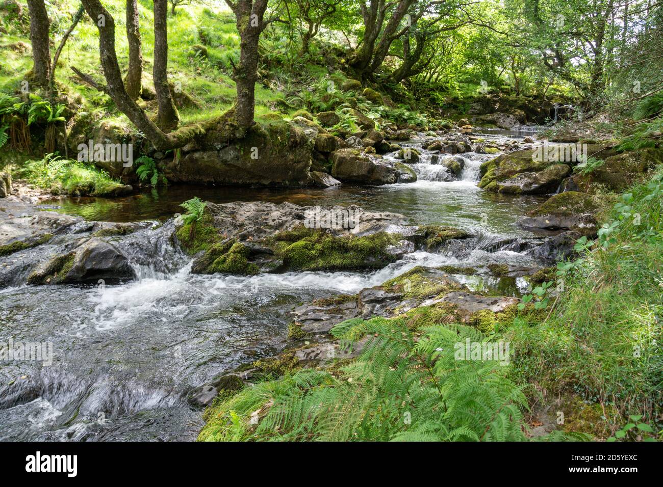 Fiume East Okement su Dartmoor in Devon Foto Stock