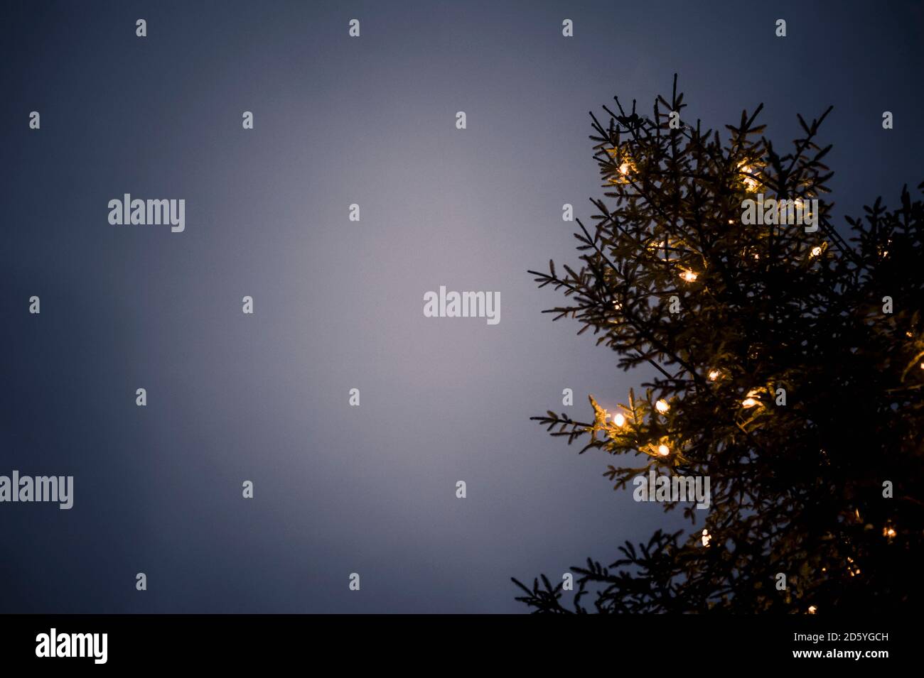In Germania, in Baviera, Ramsau, albero illuminato Foto Stock