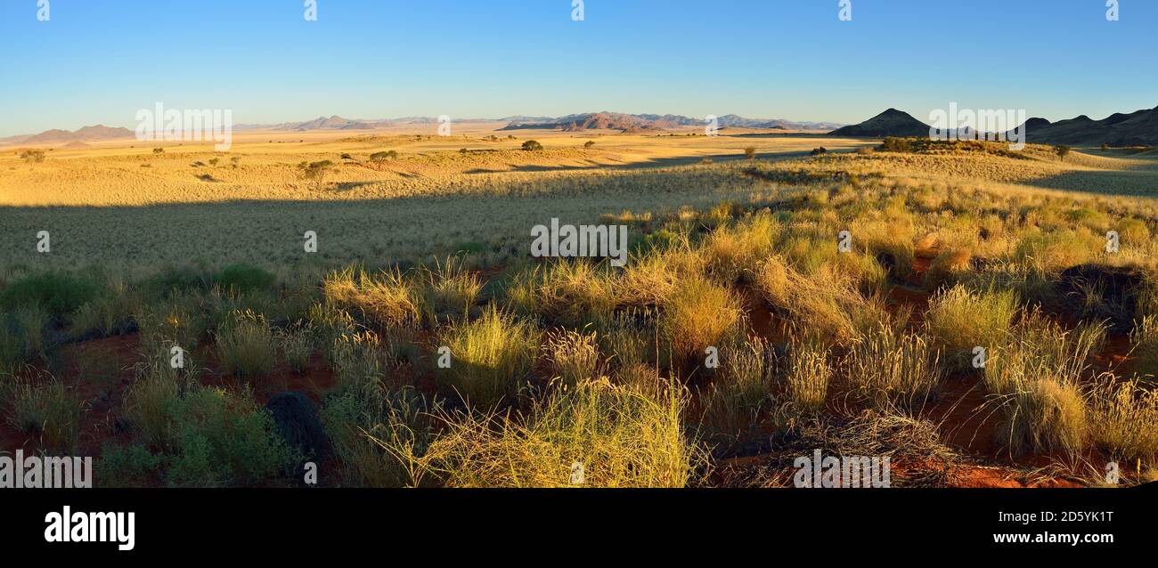 Africa, Namibia, Namib Desert, vista su Namib Rand Riserva Naturale, Panorama Foto Stock