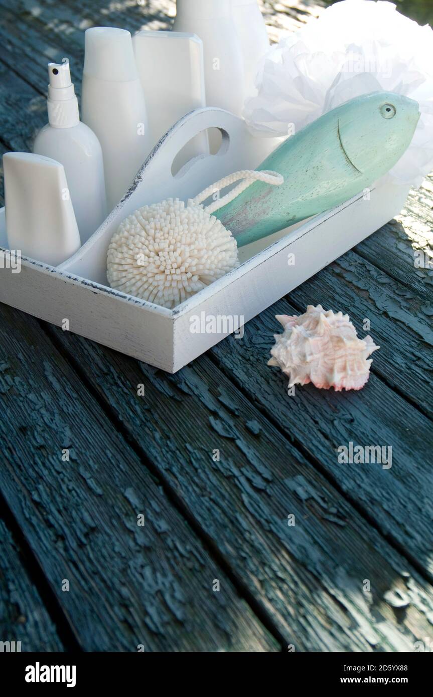 Vassoio con utensili da bagno e di una lumaca-shell Foto Stock
