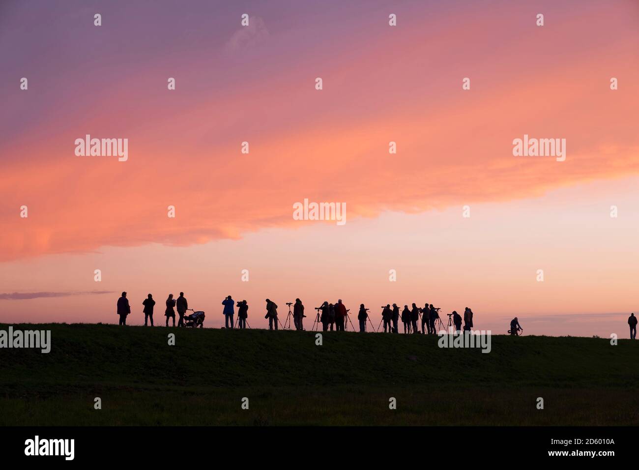 Germania, Zingst, silhouette di birdwatcher a Barther Bodden al crepuscolo serale Foto Stock