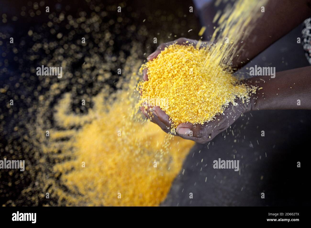 Brasile, Para, Trairao, Agrarian Reform Areia, facendo torrefatto farina di manioca, tenere fuori la mano Foto Stock