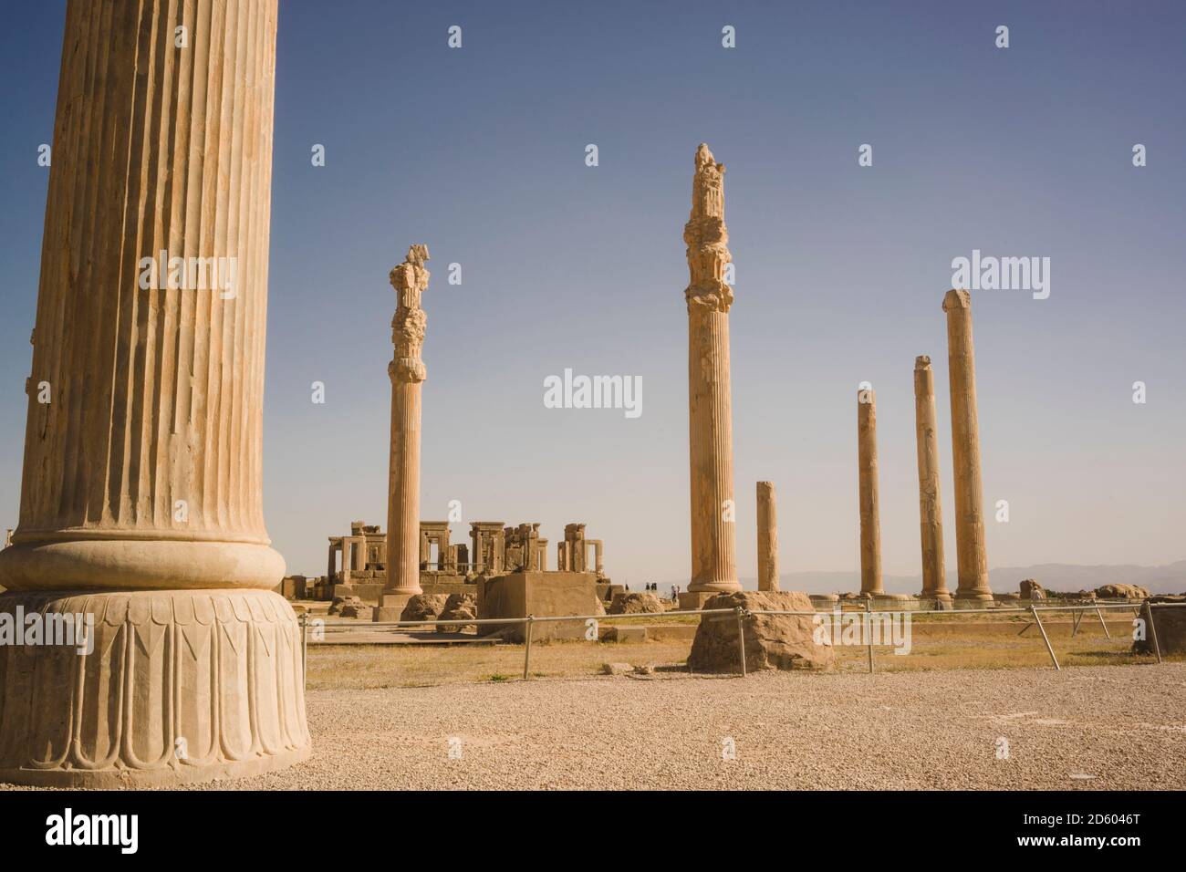 Iran, Persepolis, Colonne del Palazzo Apadana Foto Stock