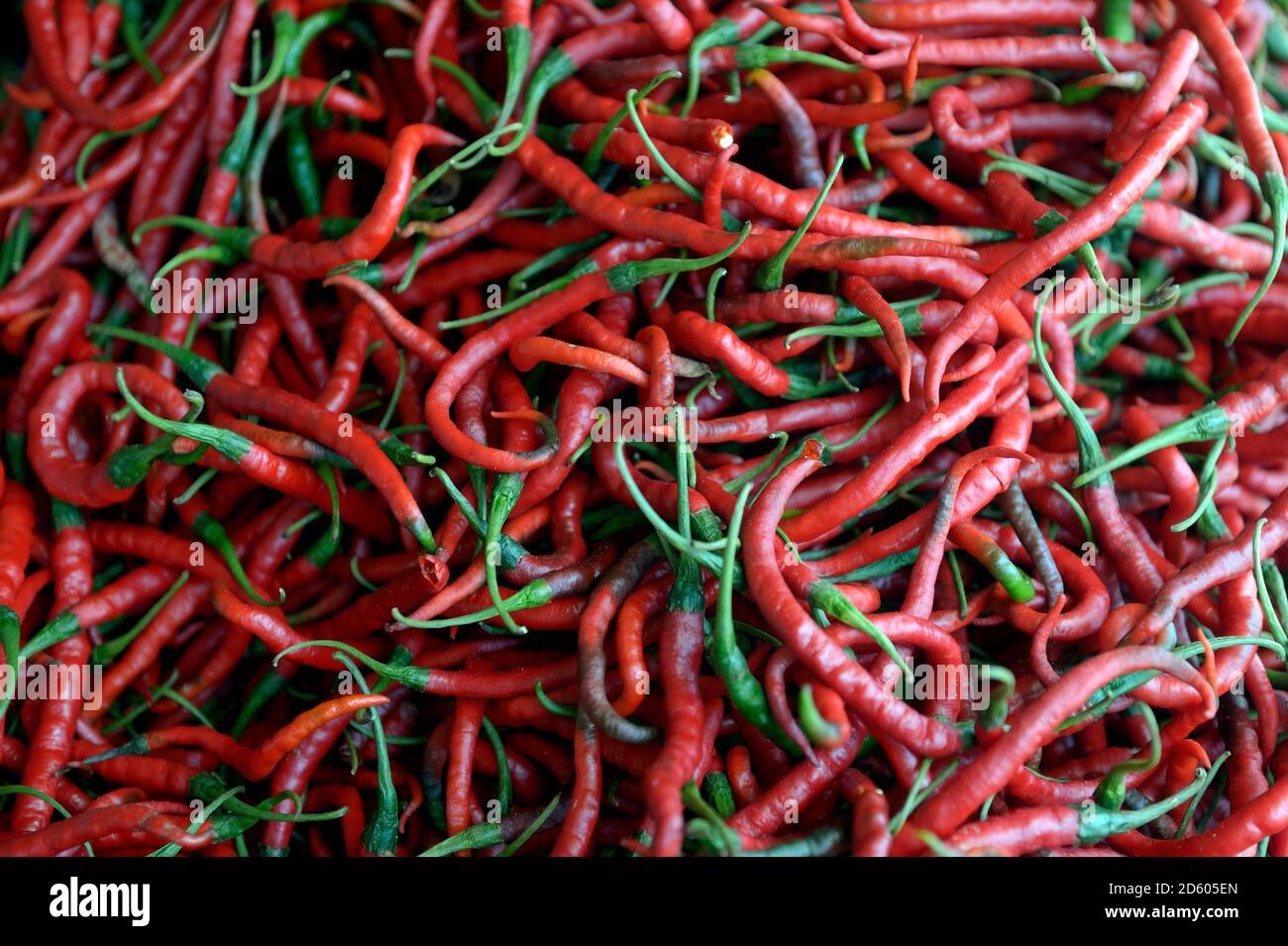 Indonesia, Simeulue, peperoncino rosso cialde al mercato Foto Stock