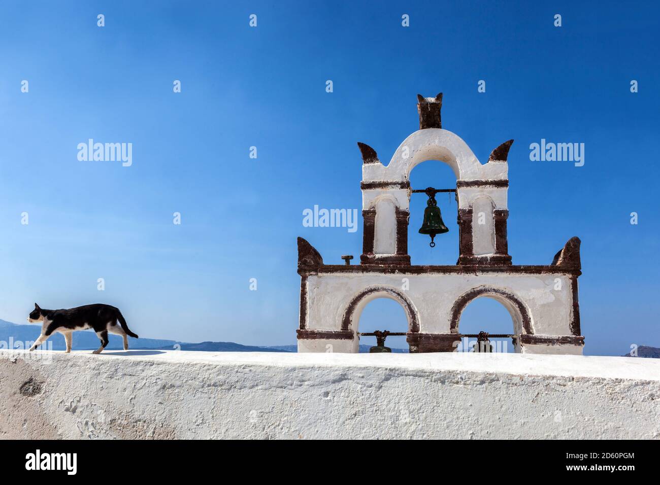 Gatto domestico all'esterno camminando sul bordo tetto greco ortodosso chiesa Santorini, Grecia Foto Stock