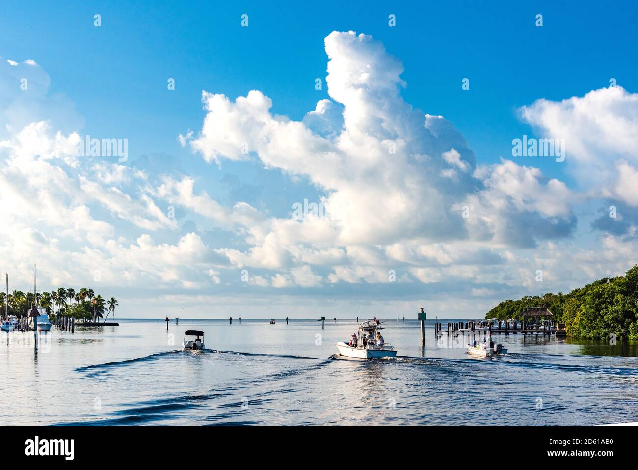 Barche che partono da Matheson Hammock Park Marina, Miami, in una bella calma e soleggiata mattina. Foto Stock