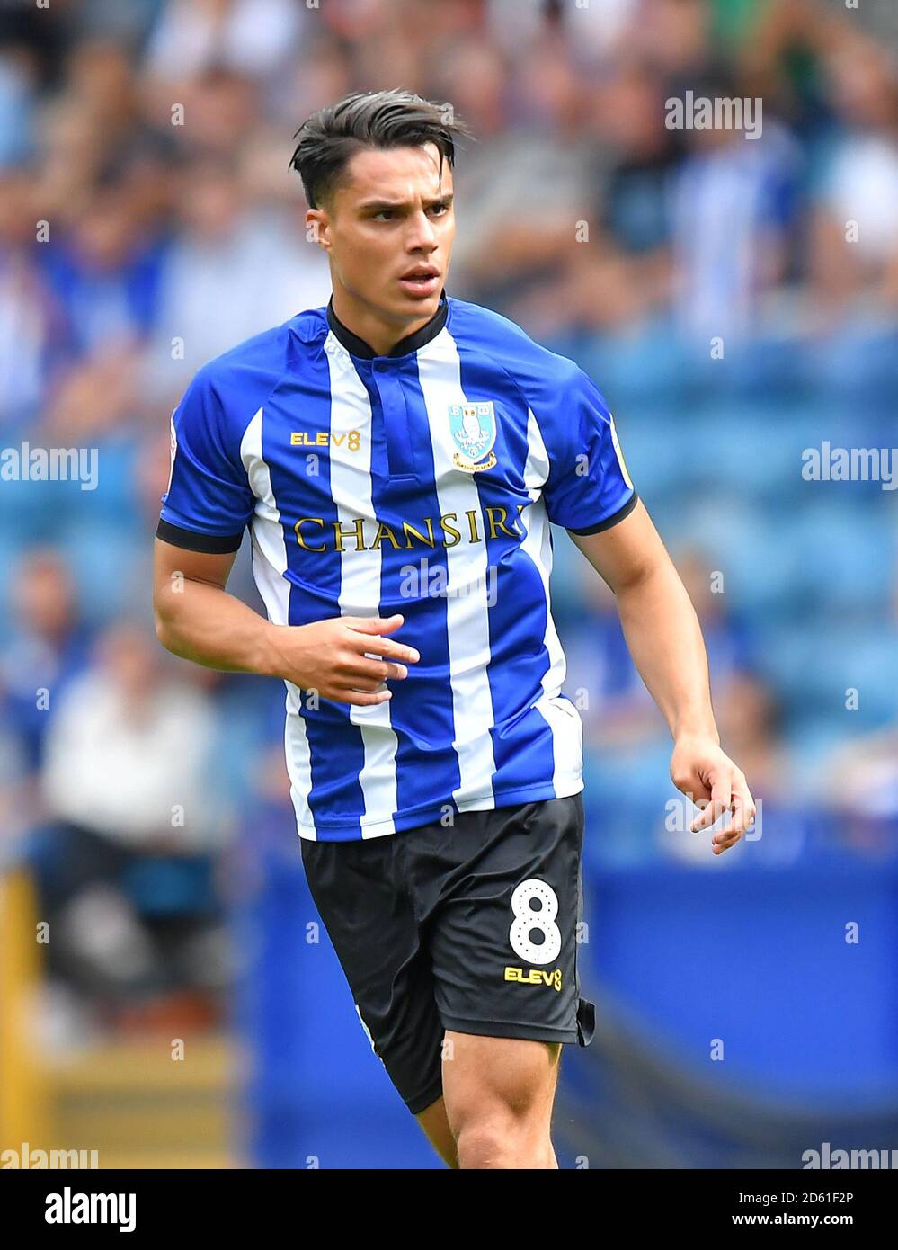 Joey Pelupessy, Sheffield Mercoledì Foto Stock