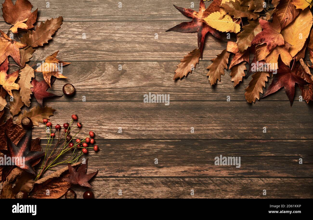Cornice stagionale con foglie d'autunno colorate su sfondo di legno Foto Stock