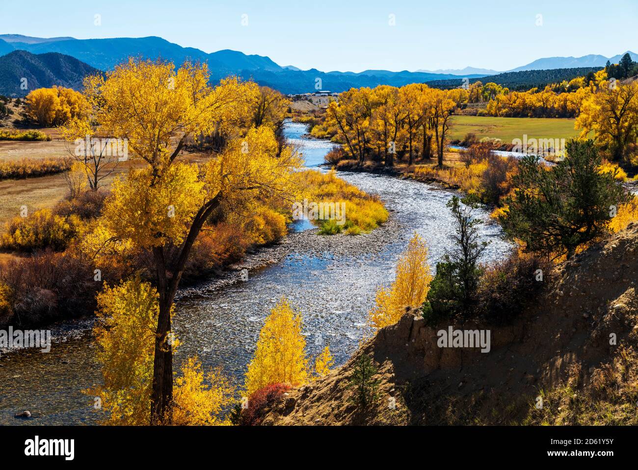 Vista autunnale del fiume Arkansas; Big Bend state Wildlife Area; tra Salida e Buena Vista; Chaffee County; Colorado; USA Foto Stock
