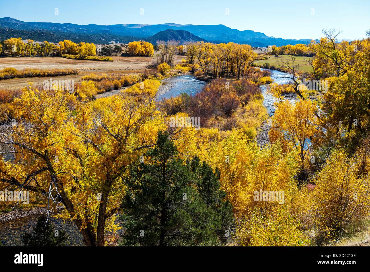 Vista autunnale del fiume Arkansas; Big Bend state Wildlife Area; tra Salida e Buena Vista; Chaffee County; Colorado; USA Foto Stock
