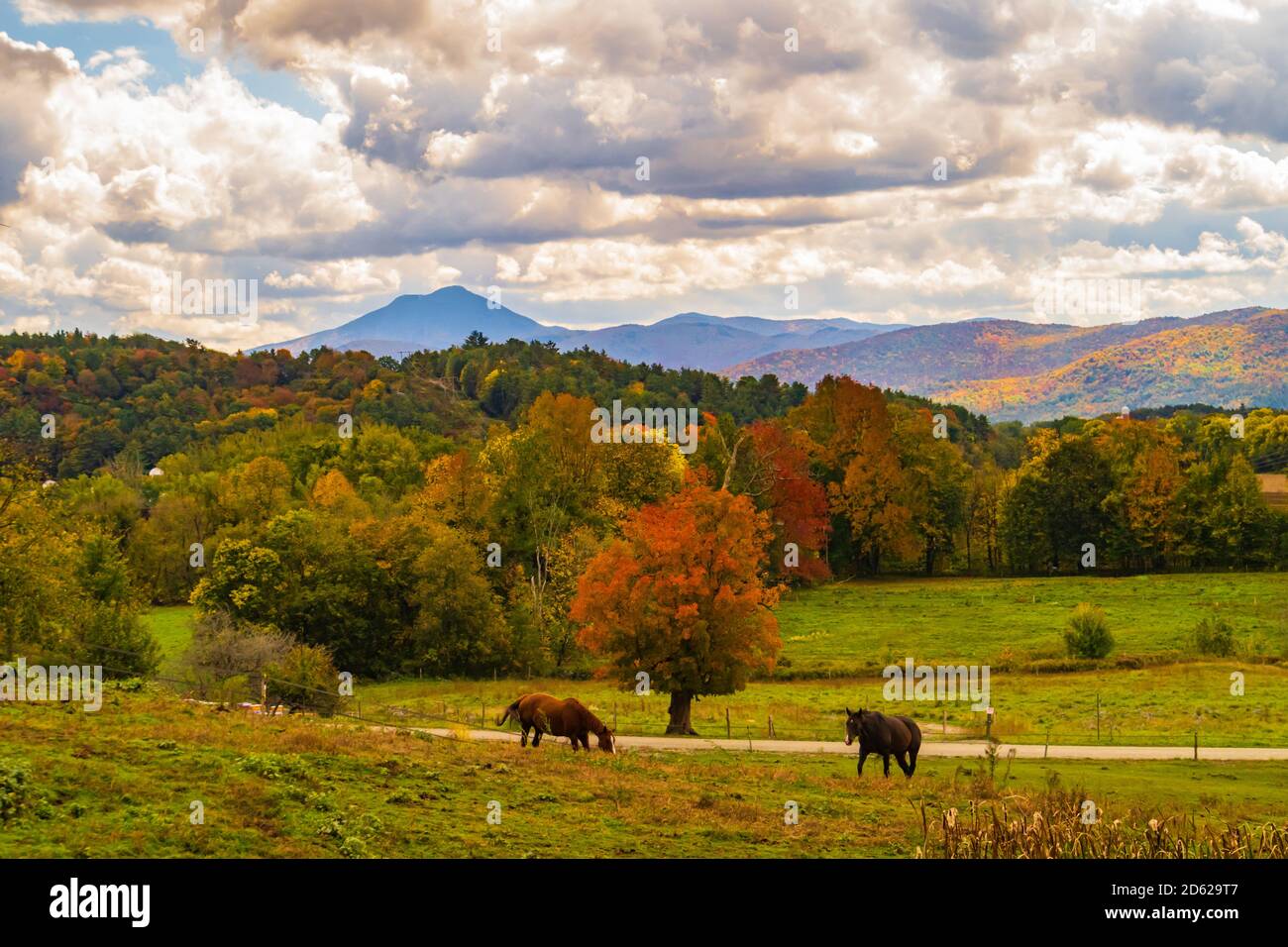 Vista di cammelli gobba Montagna in caduta delle foglie stagione, nel Vermont Foto Stock