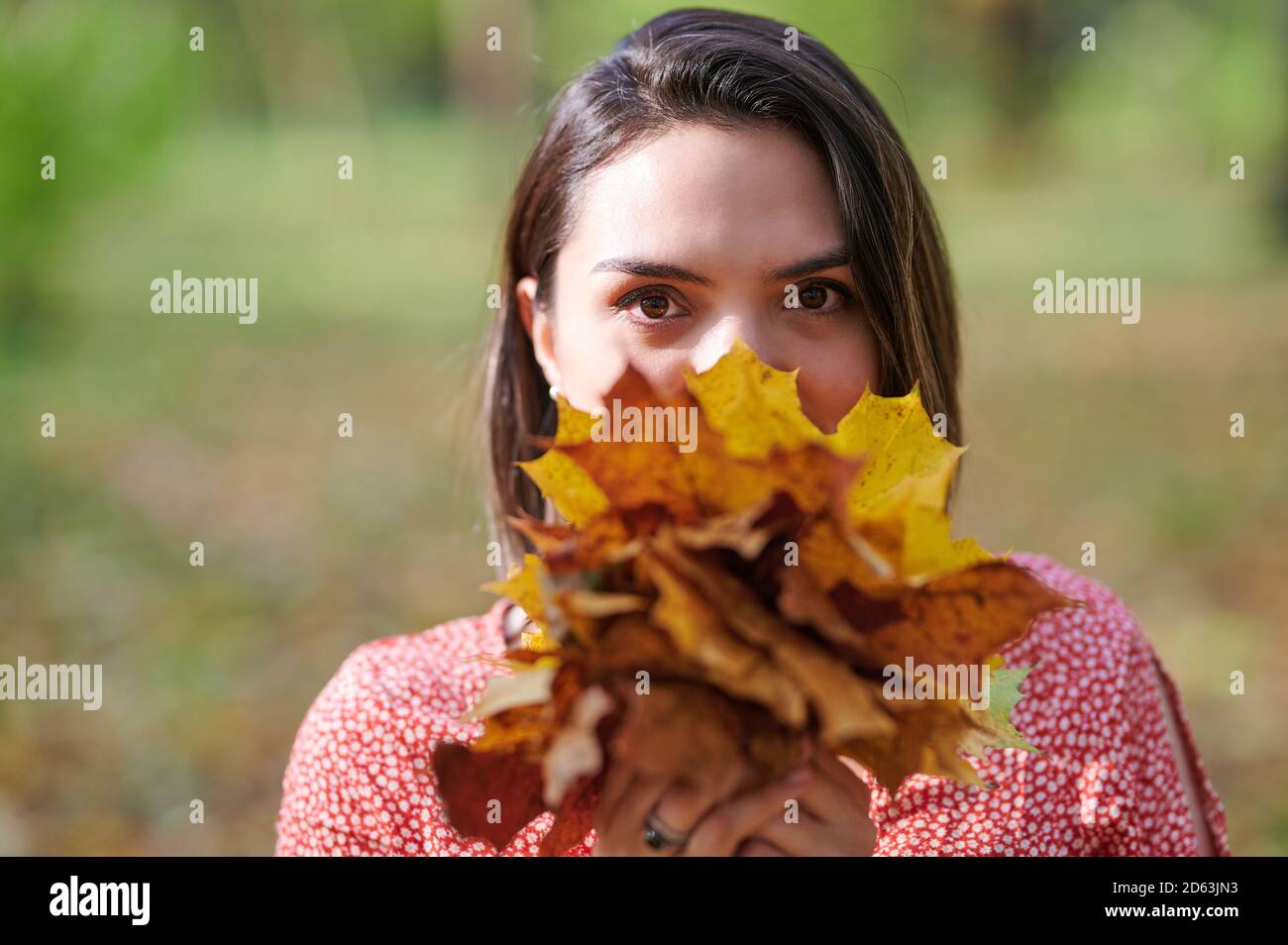 Ritratto di donna brunette su sfondo autunno con foglie gialle Foto Stock