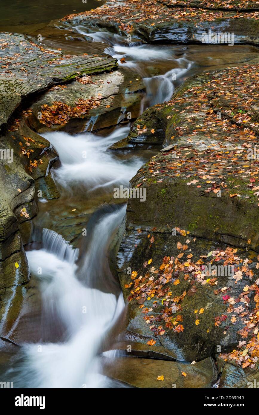 Watkins Glen state Park Gorge Trail e Glen Creek in autunno, Schuyler County, Finger Lakes Region, New York Foto Stock
