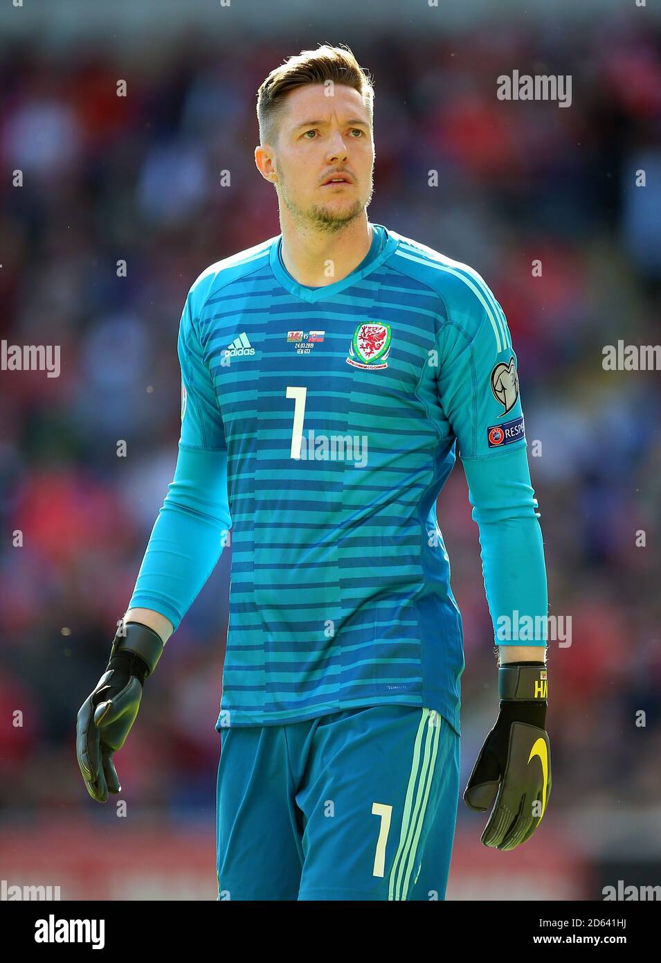 In Galles il portiere Wayne Hennessey Foto stock - Alamy