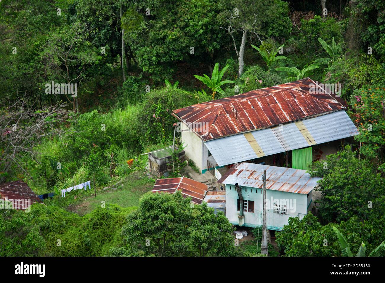 Casa rurale nella giungla, casa contadina nella natura. Vita rurale. Foto Stock