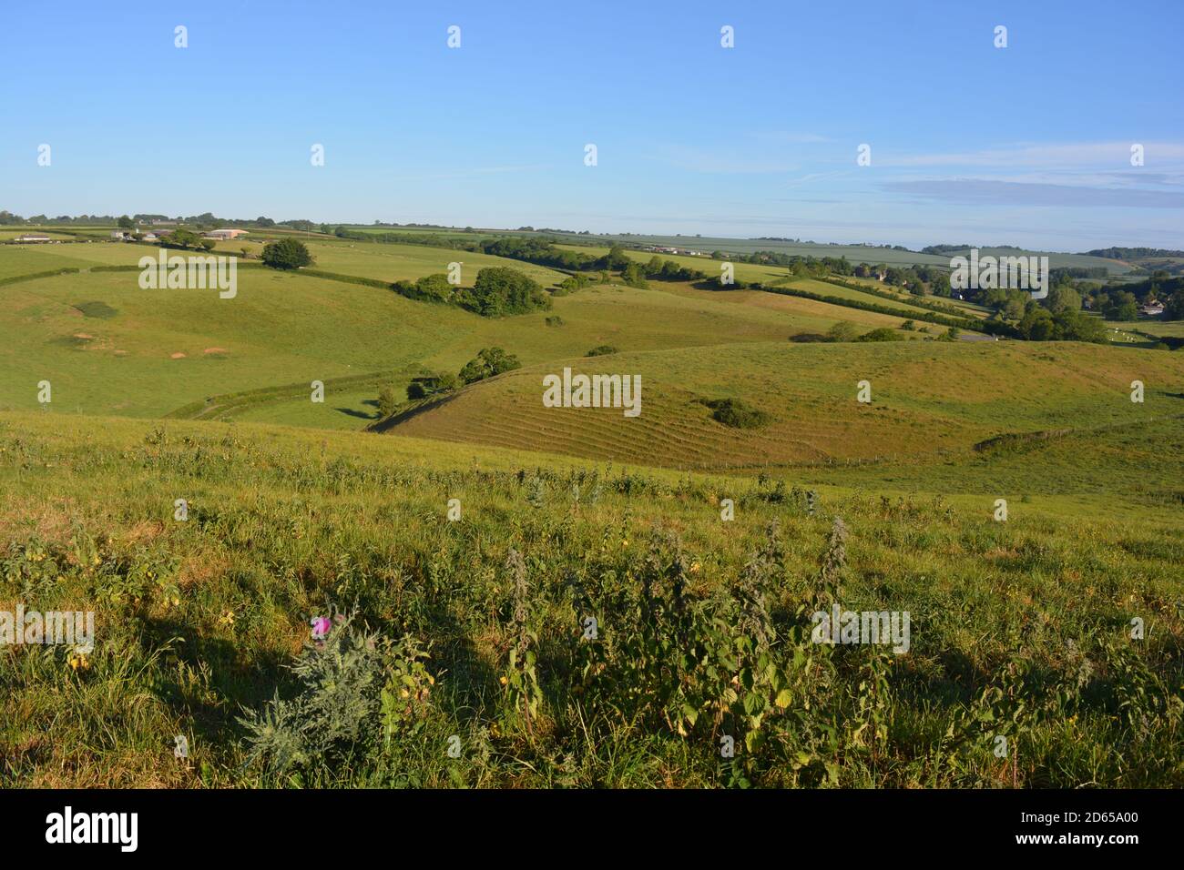 Vista dal sentiero di Donkey Lane su campi verdi verso Poyntington, Sherborne, Dorset, Inghilterra Foto Stock
