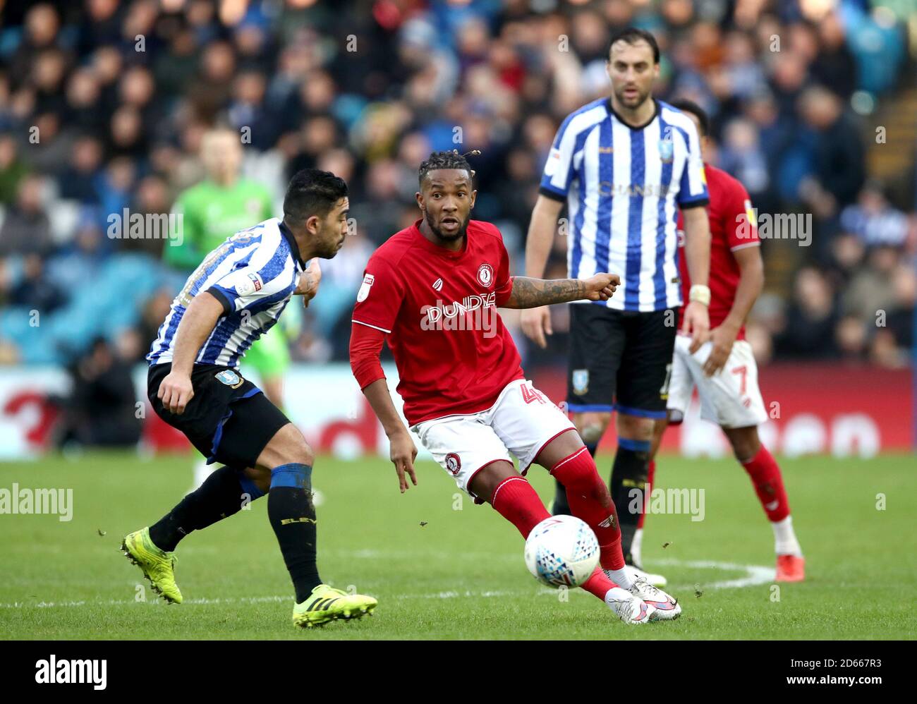 Il Kasey Palmer di Bristol City cerca di superare massimo Luongo del mercoledì di Sheffield Foto Stock