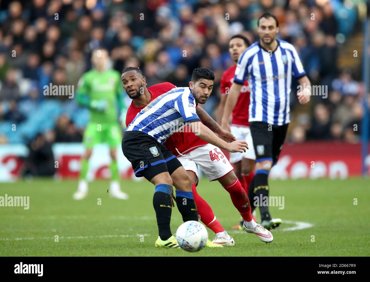 Il Kasey Palmer di Bristol City cerca di superare massimo Luongo del mercoledì di Sheffield Foto Stock