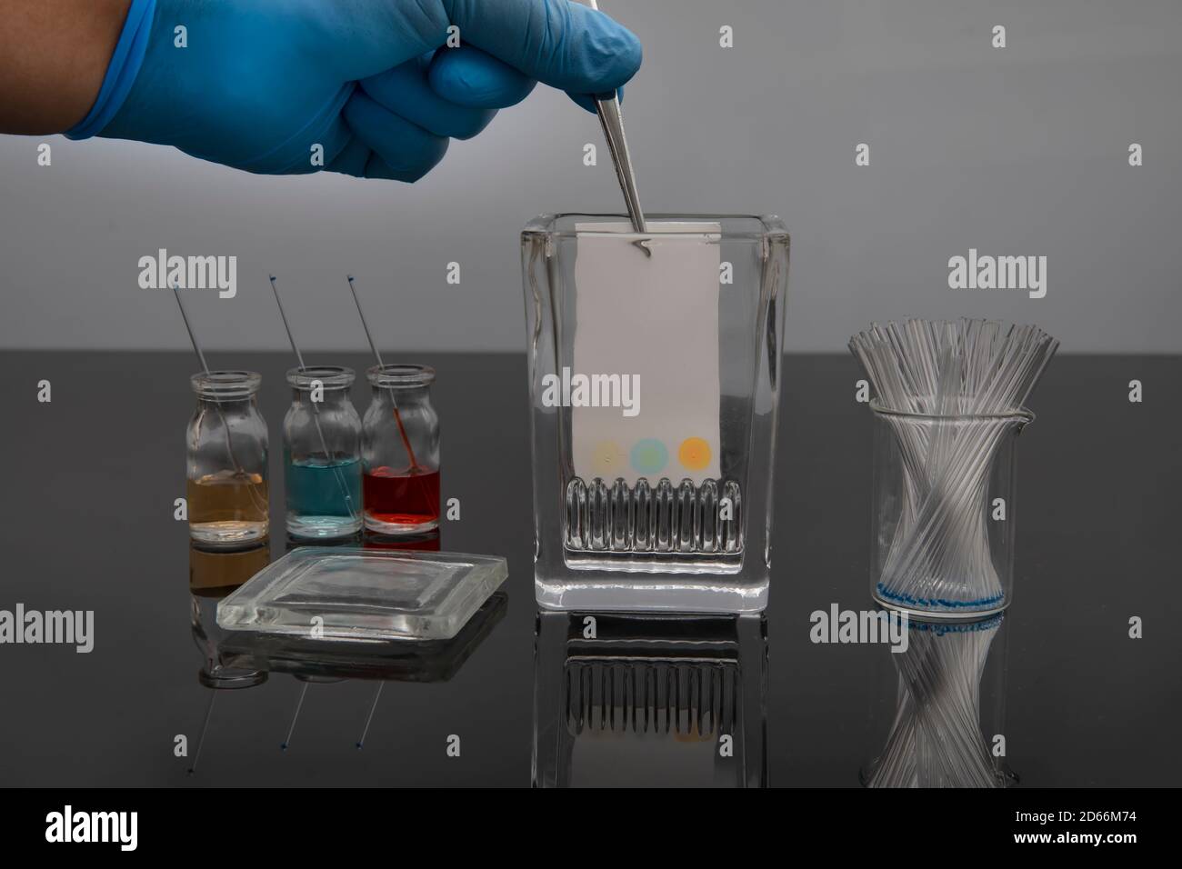 Applicazione di campioni colorati di cromatografia su strato sottile. Processo di sviluppo di campioni nel sistema tlc per l'analisi della purezza del composto. Foto Stock