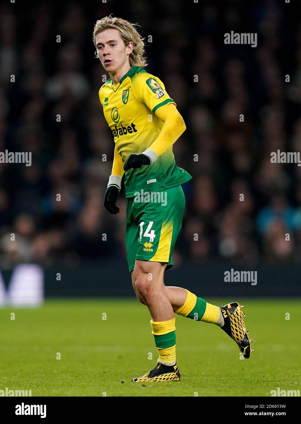 Norwich City's Todd Cantwell Foto Stock