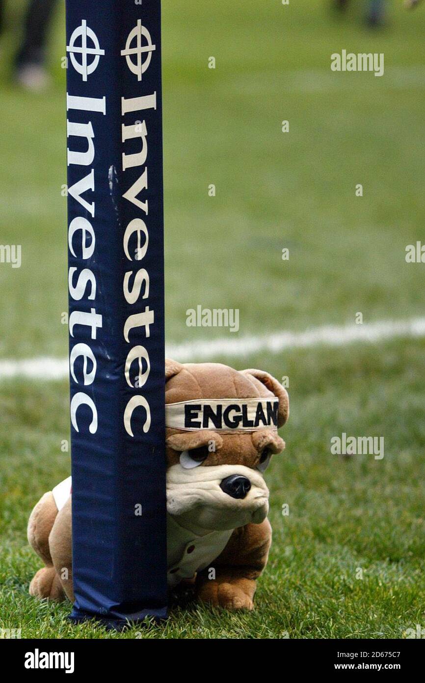 Una mascotte giocattolo British Bulldog si trova accanto ad un investitore bandiera ad angolo Foto Stock