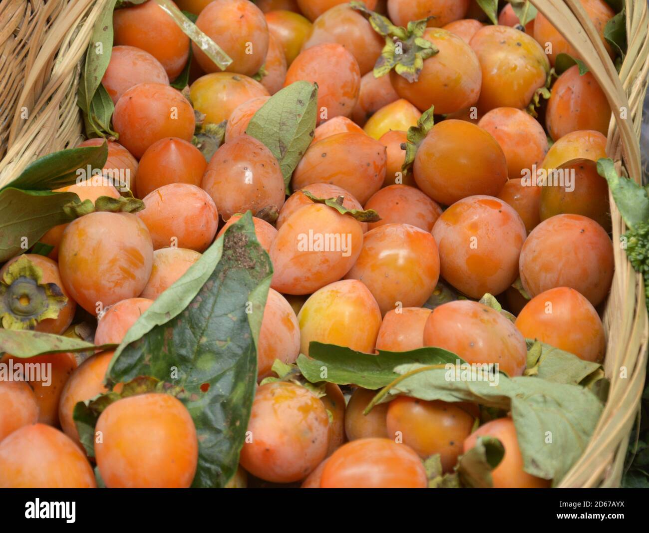 i persimmons freschi maturi nel cestino per la vendita nel mercato Foto Stock