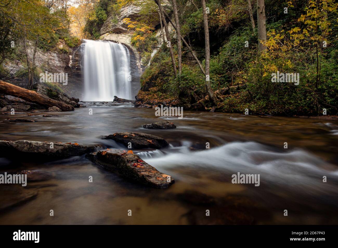 Il Looking Glass Falls - Pisgah National Forest - nei pressi di Brevard, North Carolina, STATI UNITI D'AMERICA Foto Stock