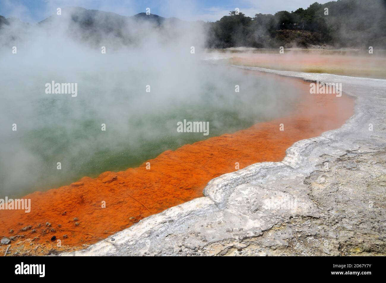 Pool di Champagne, Waiotapu Thermal Wonderland, Rotorua, Isola del nord, Nuova Zelanda Foto Stock