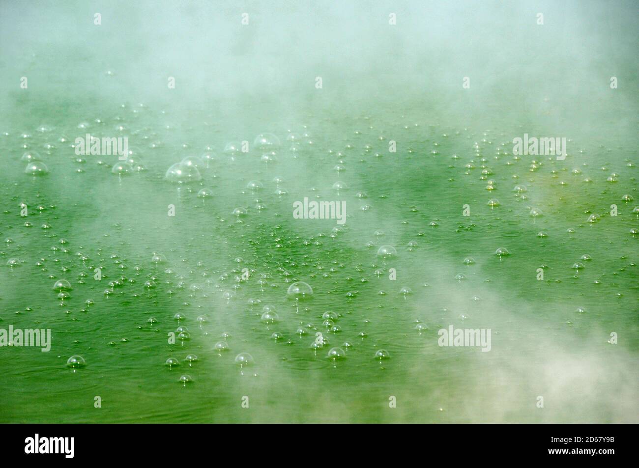 Pool di Champagne, Waiotapu Thermal Wonderland, Rotorua, Isola del nord, Nuova Zelanda Foto Stock