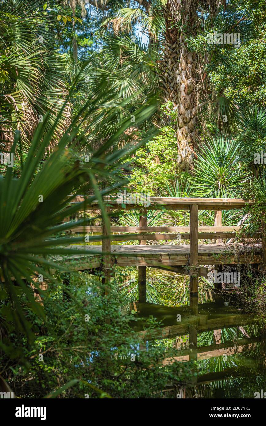Ponte pedonale in legno al Kathryn Abbey Hanna Park a Jacksonville, Florida. (STATI UNITI) Foto Stock