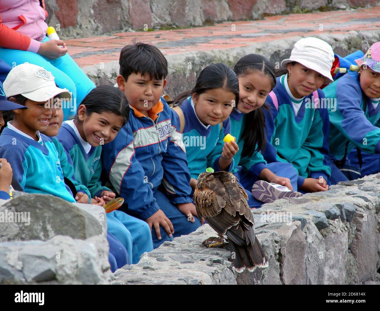 OTAVALO, ECUADOR - Feb 16, 2008: Otavalo, Imbabura / Ecuador - Febbraio 15 2008: Quechua Indigenous Kids seduta guardando un Falcon addomesticato Foto Stock