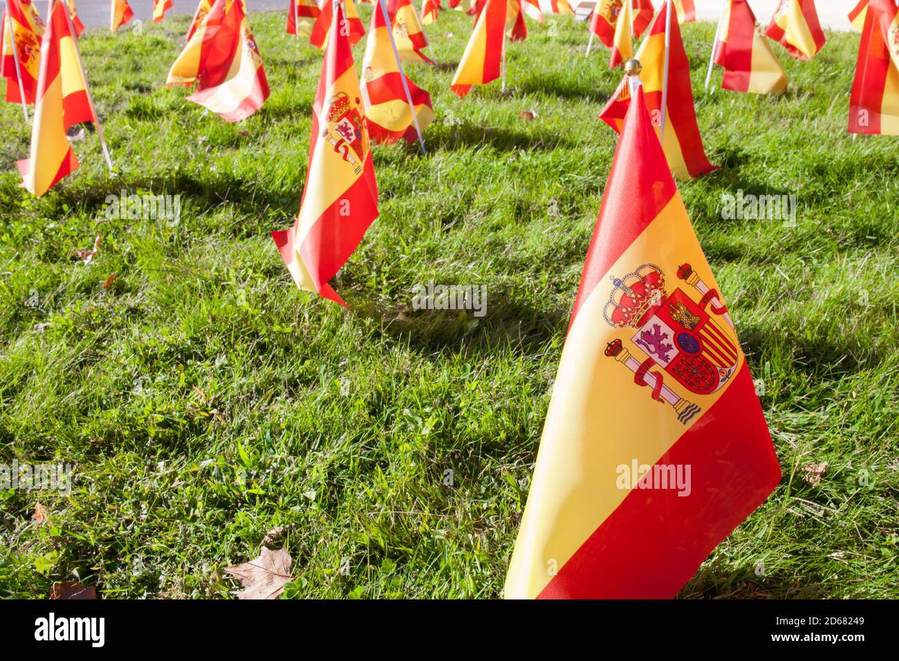Erba piena di bandiere spagnole al 12 ottobre Giornata Nazionale di Spagna. Messa a fuoco selettiva Foto Stock