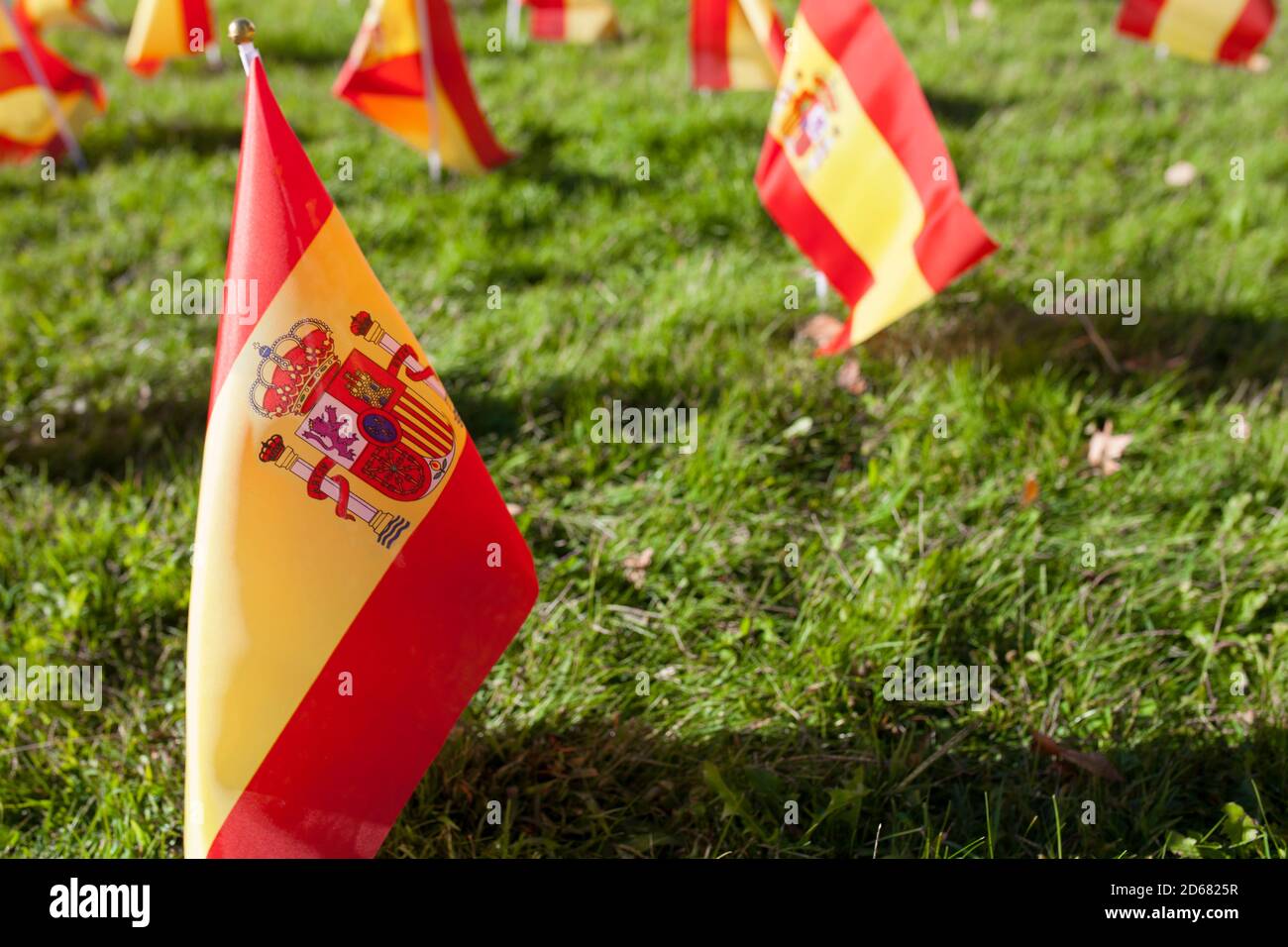 Erba piena di bandiere spagnole al 12 ottobre Giornata Nazionale di Spagna. Messa a fuoco selettiva Foto Stock