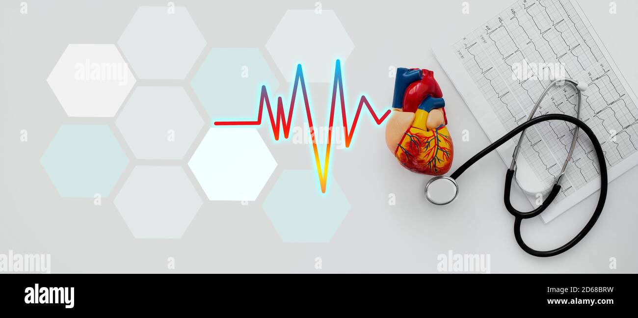 Stetoscopio, battito cardiaco, risultati dell'elettrocardiogramma e modello cardiaco anatomico, posa piatta. banner medico, assistenza sanitaria e concetto di cardiologia Foto Stock