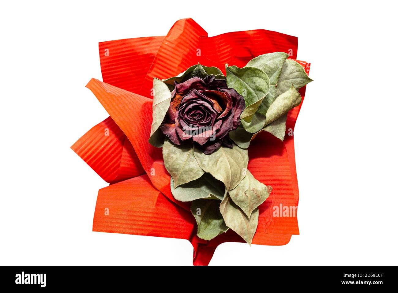 Una rosa rossa appassita con un grande nastro rosso, isolata su uno sfondo bianco con un tracciato di ritaglio. Foto Stock