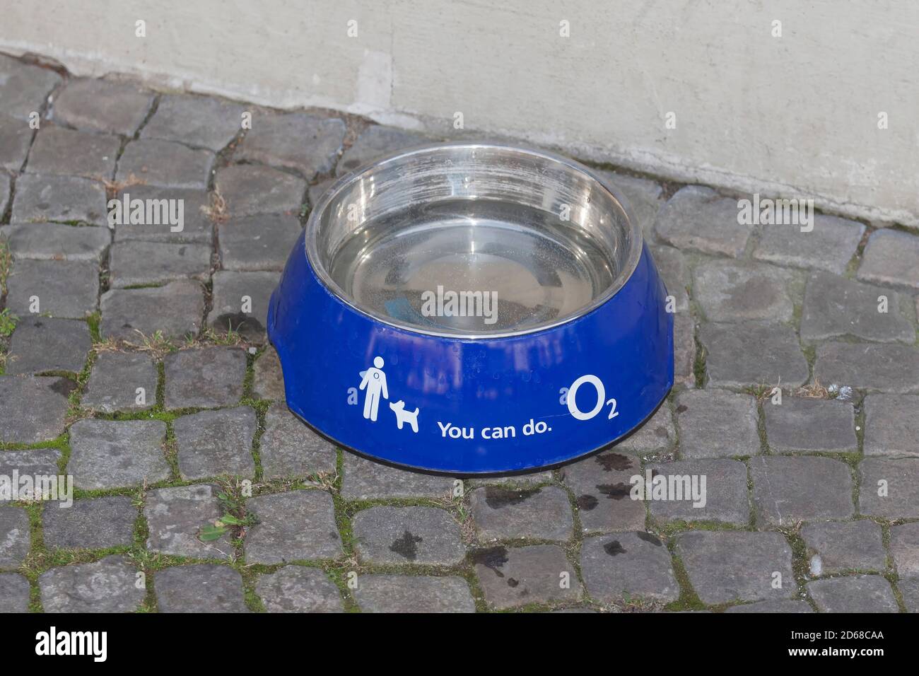 Vasca d'acqua per cani, logo O2, Potsdam, Brandeburgo Foto Stock
