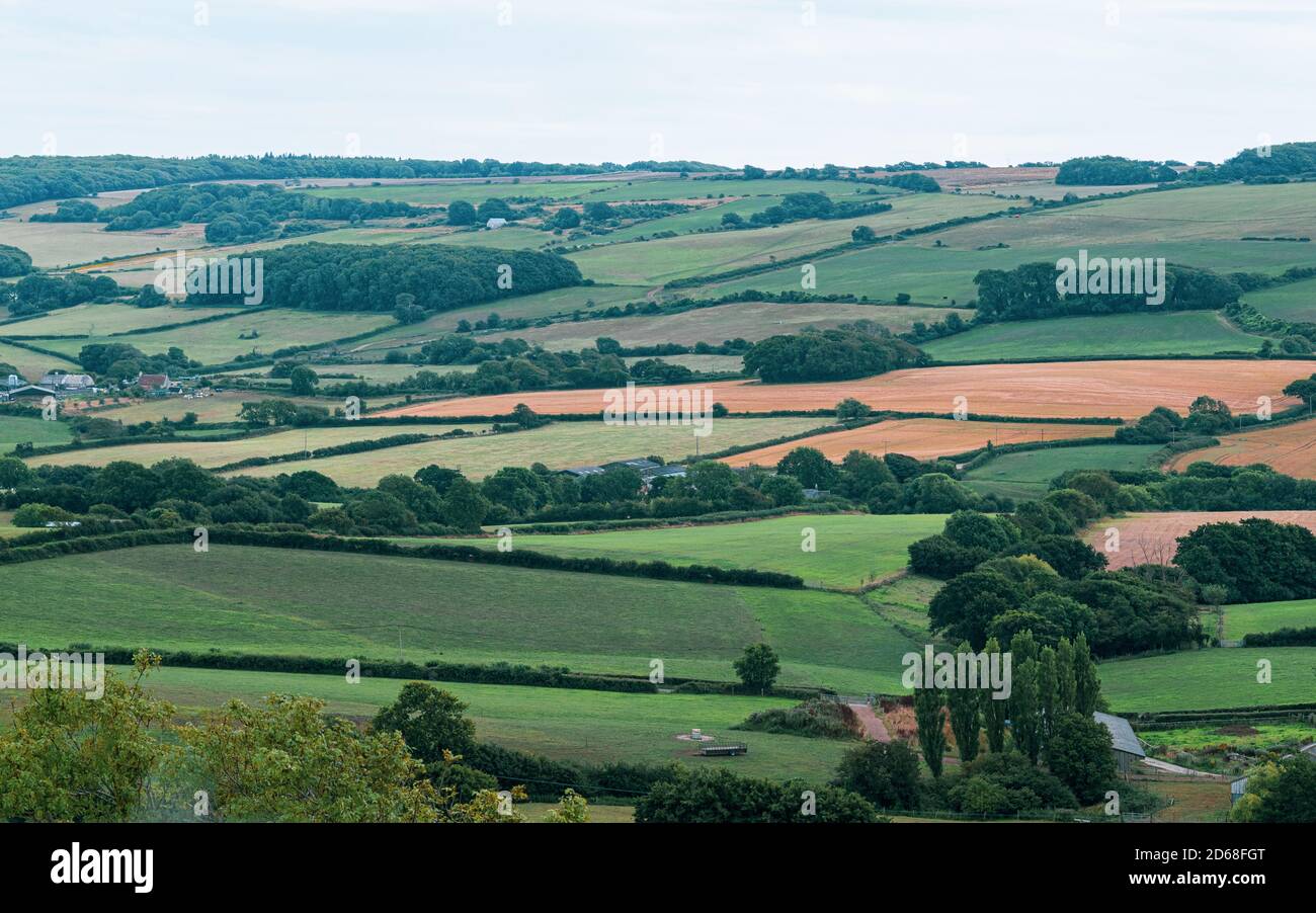 Splendido punto di riferimento delle fattorie del Devonshire, vista a distanza per alberi e campi, per lo più paesaggio artificiale di fattorie britanniche e campi da pascolo per Foto Stock