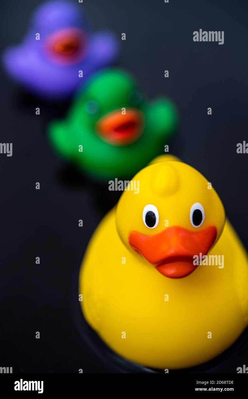 Tre anatre di plastica colorate Foto Stock