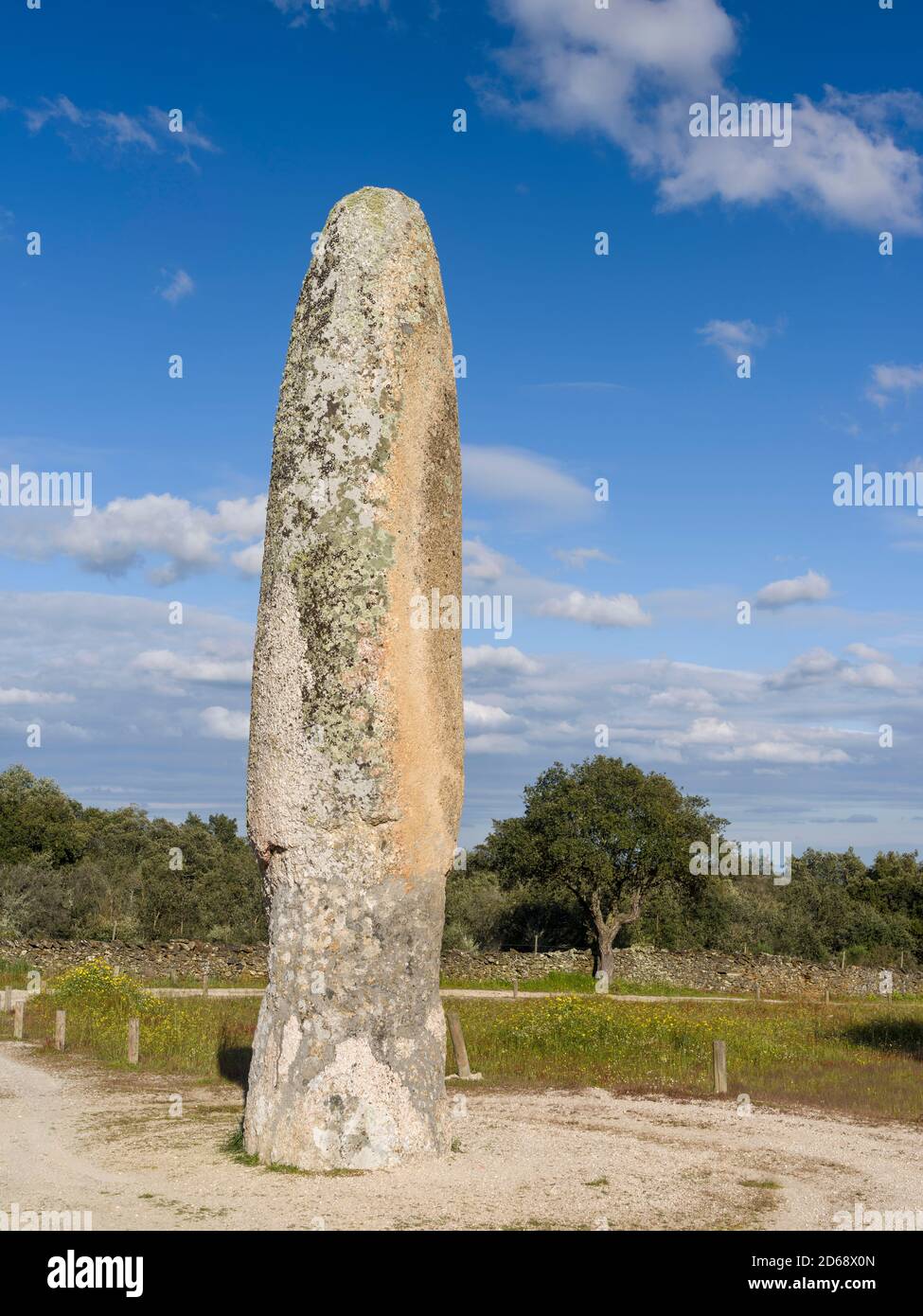 Menhir da Meada vicino a Marvao nell'Alentejo. Il Menhir da Meada è il Menhir più alto della penisola iberica. Europa, Sud Europa, Portogallo, Apr Foto Stock