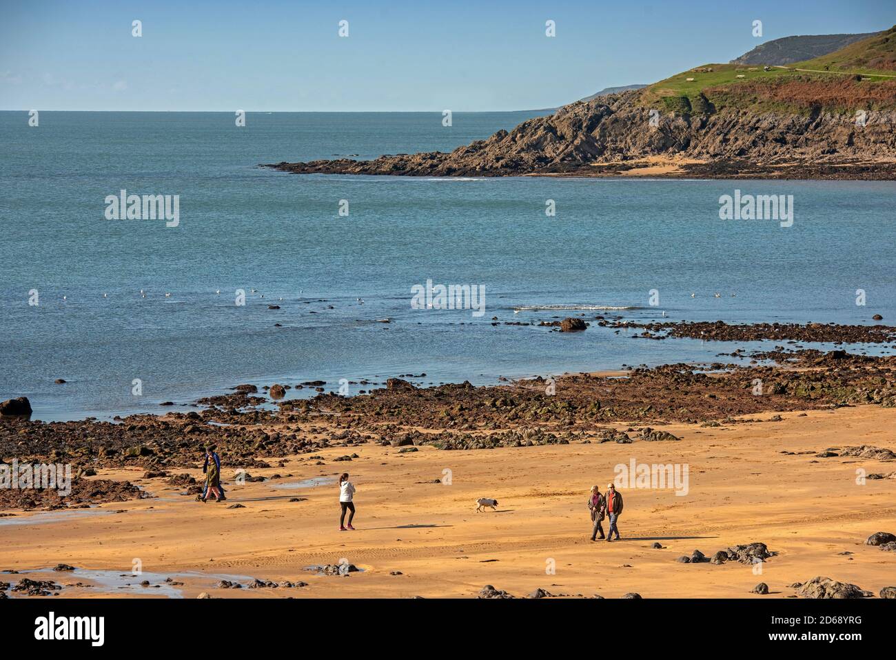 Langland Bay, Swansea, Regno Unito, 15 ottobre 2020 il pomeriggio, durante la chiusura, è possibile godersi il bel tempo autunnale a Langland Bay, vicino a Swansea. Foto Stock