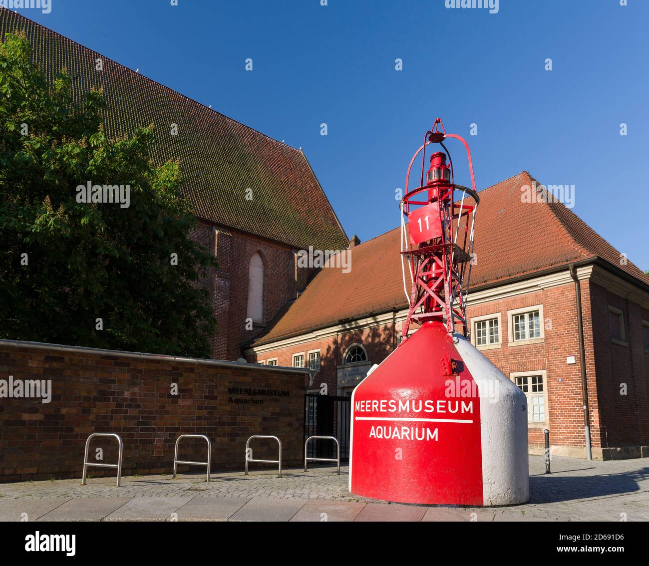 Deutsches Meeresmuseum (Museo oceanico tedesco) nella ex chiesa di Katharinenkirche. La città anseatica Stralsund. La città vecchia è elencata come UNESCO Foto Stock